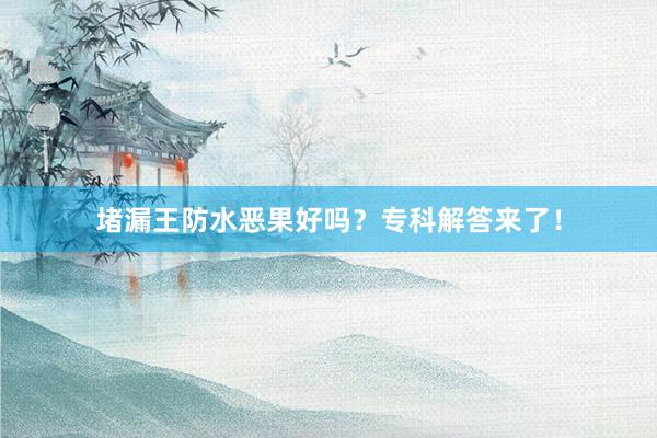 堵漏王防水恶果好吗？专科解答来了！