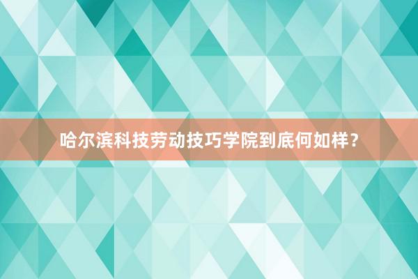 哈尔滨科技劳动技巧学院到底何如样？